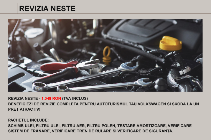 REVIZIA NESTE