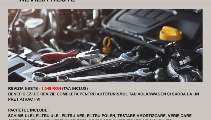 REVIZIA NESTE