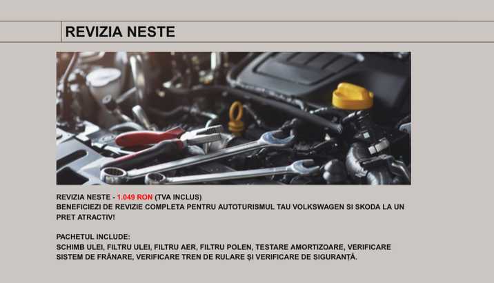 REVIZIA NESTE